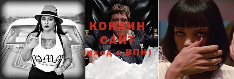 дарнет шоп  Корсаков  COCAIN Fish Scale 